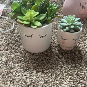 fake succulents